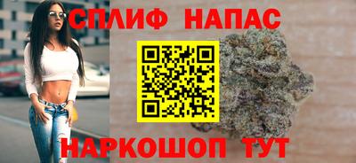 хмурый Тара