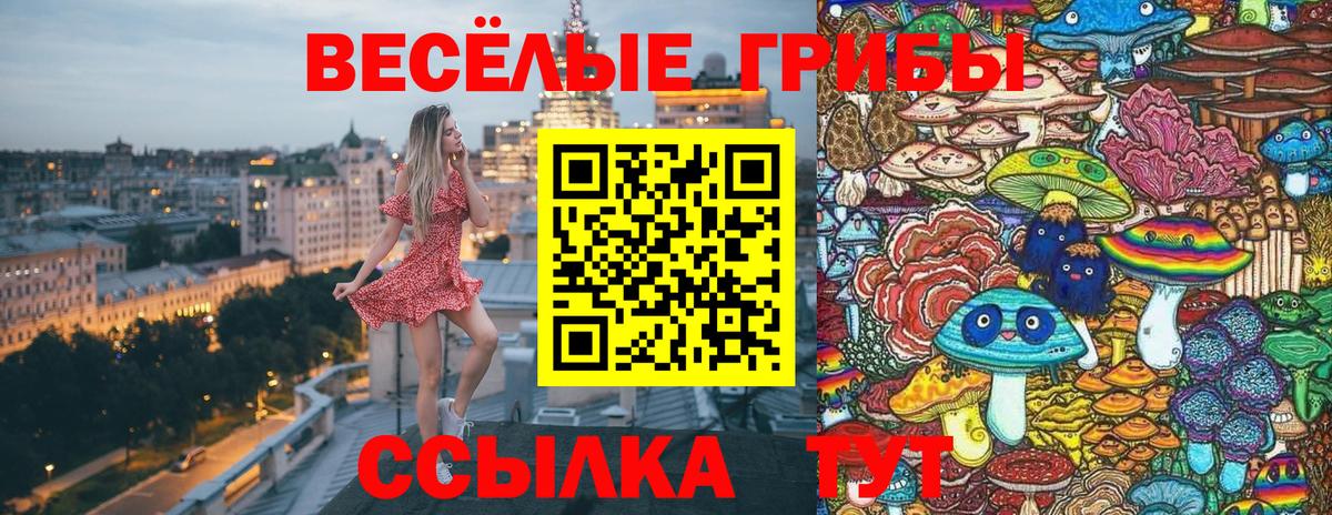 Псилоцибиновые грибы Psilocybe  Галлюциногенные грибы мухоморы  Вход с VPN  Воткинск 