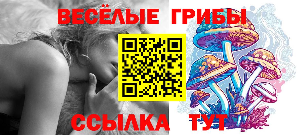 Псилоцибиновые грибы Cubensis Воткинск